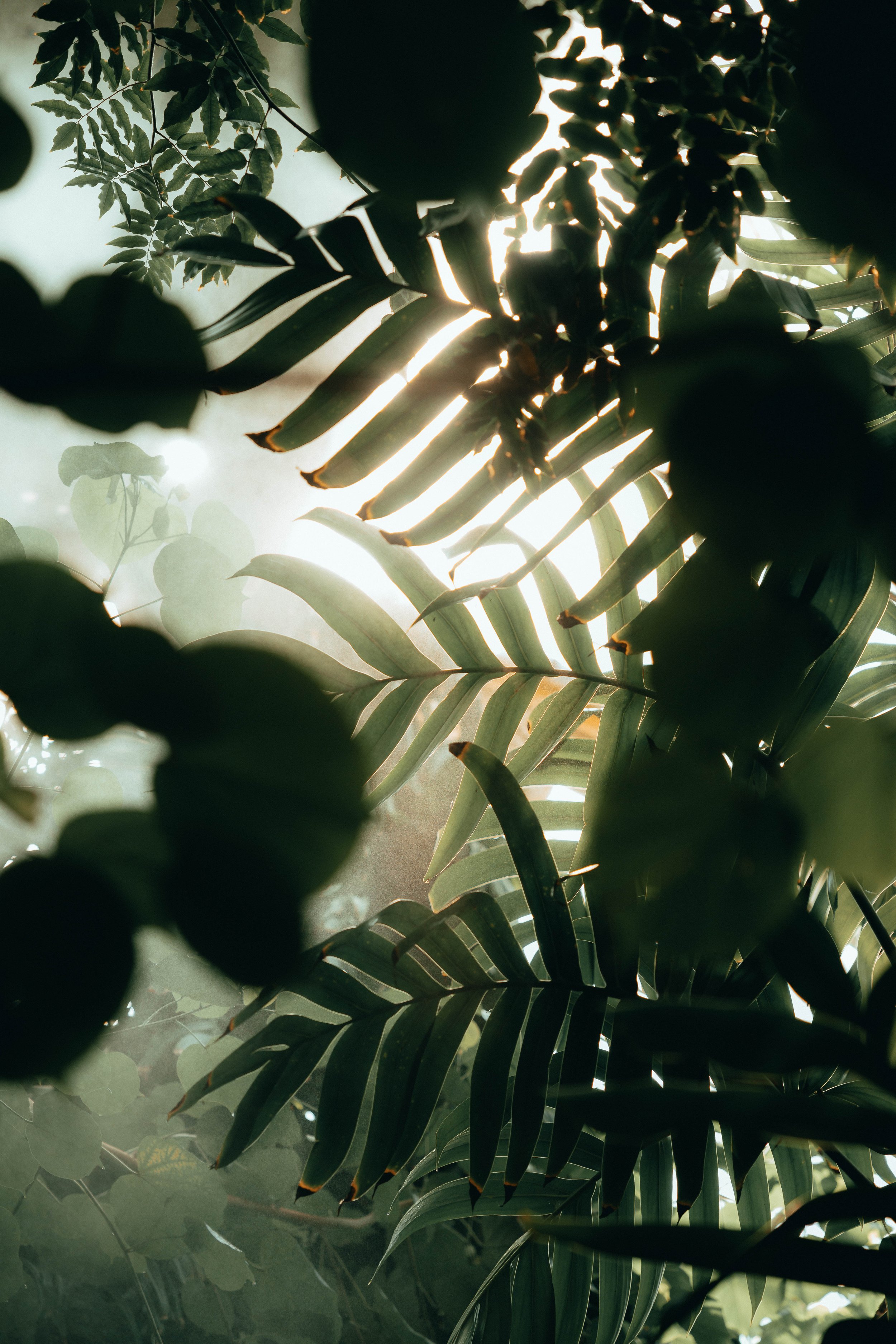 Kew-Gardens-August-2022--16.jpg