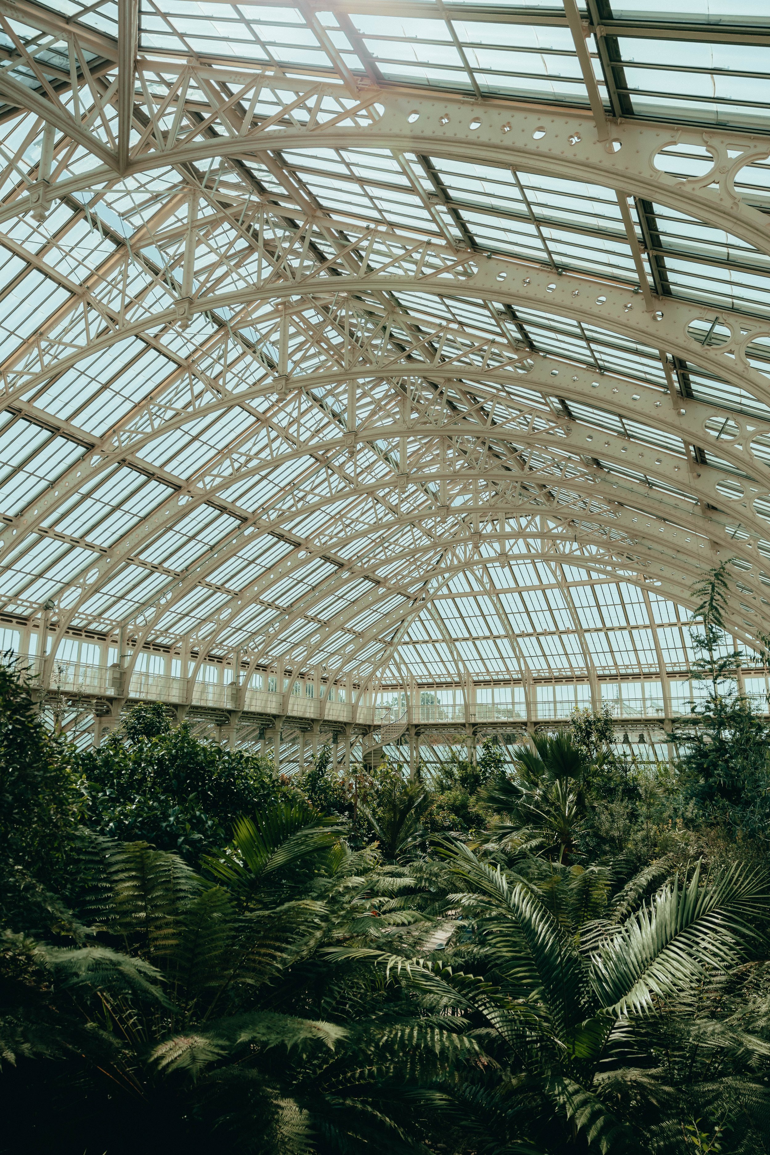 Kew-Gardens-August-2022--2.jpg