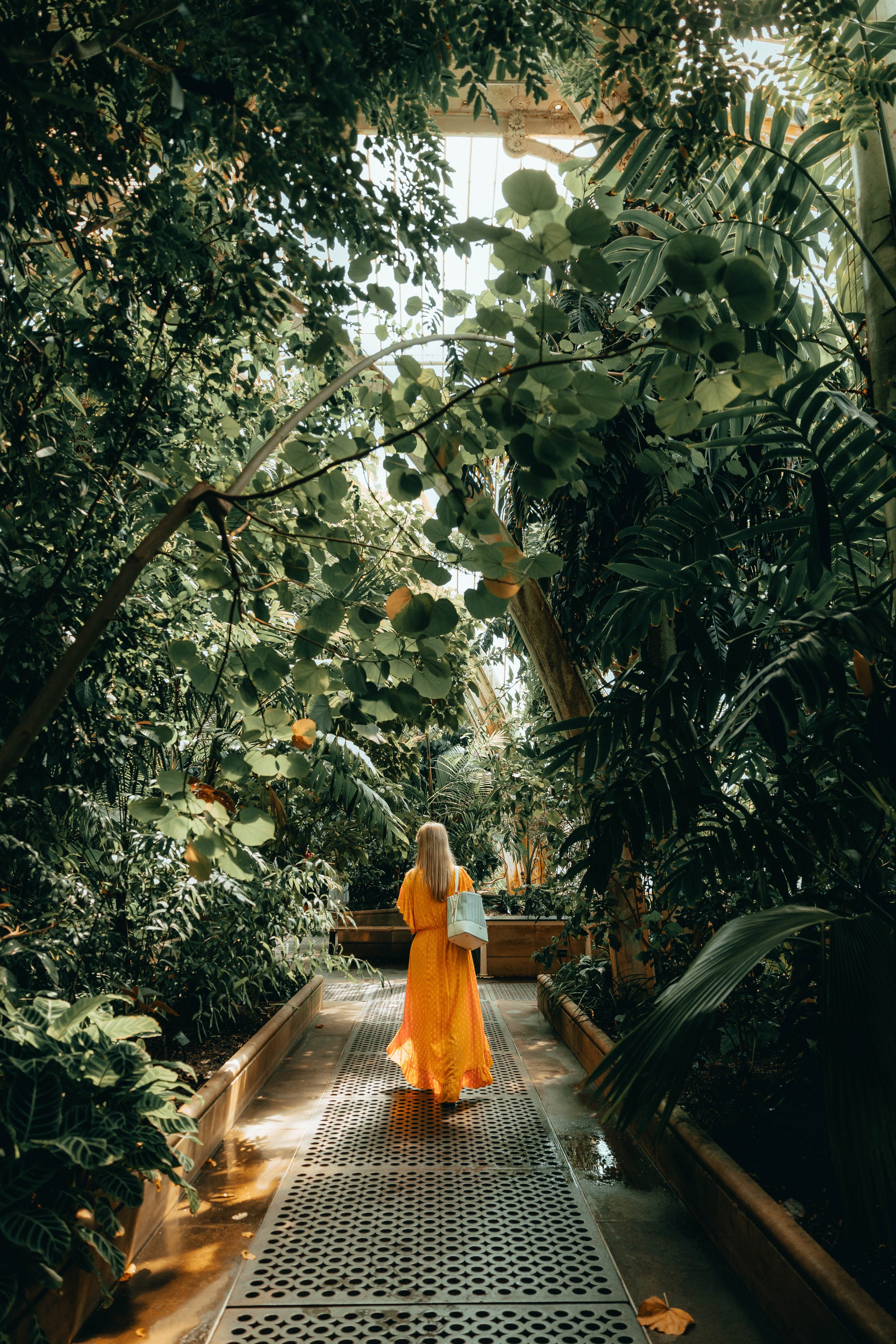 Kew-Gardens-August-2022--15.jpg