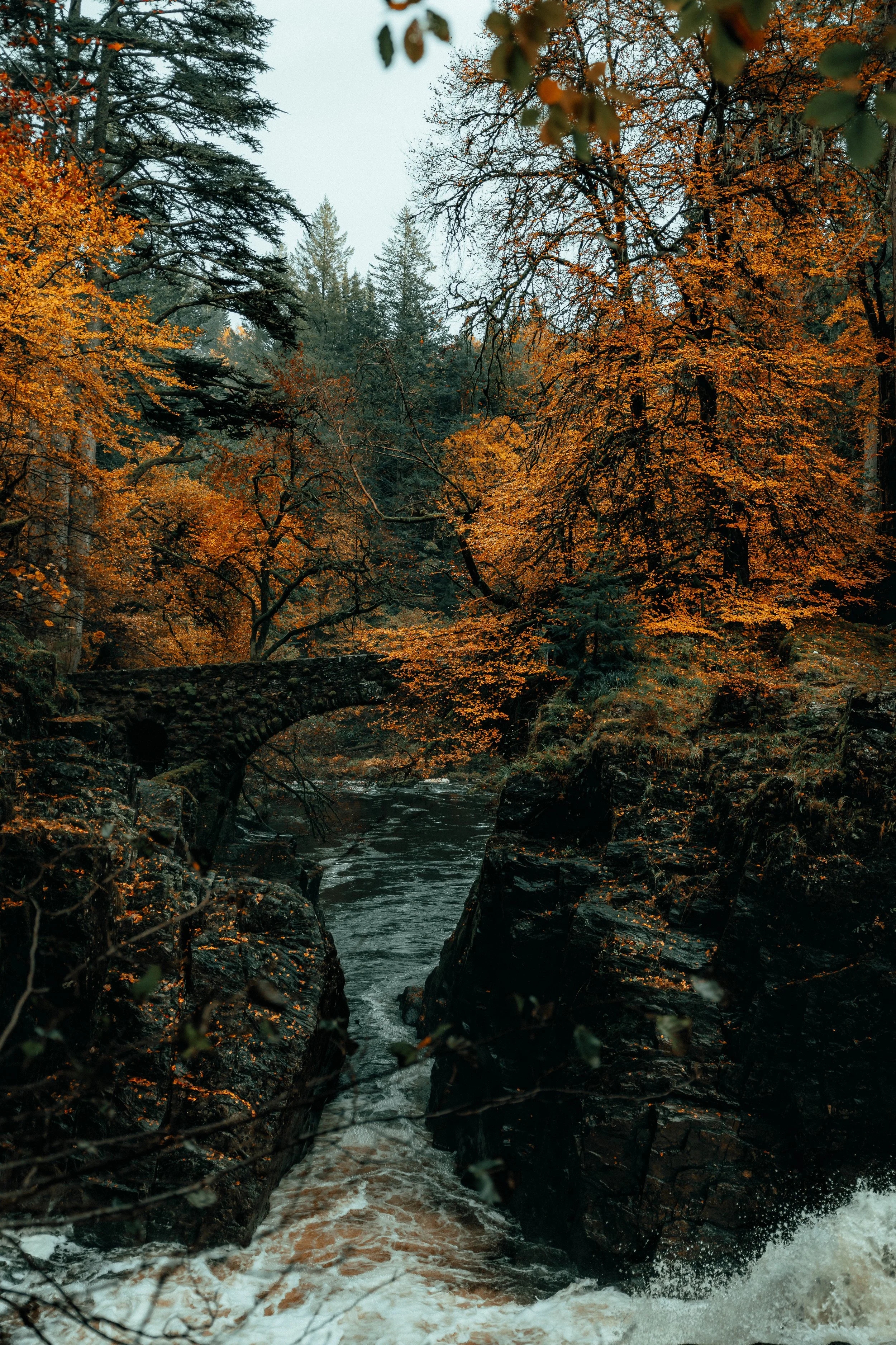 4C0A9635-Edit.jpg