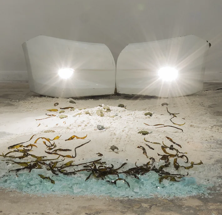1% Sea Turtle Hatchlings, Car Bumper, Flood Lights, Seaweed, Tire Tracks in sand