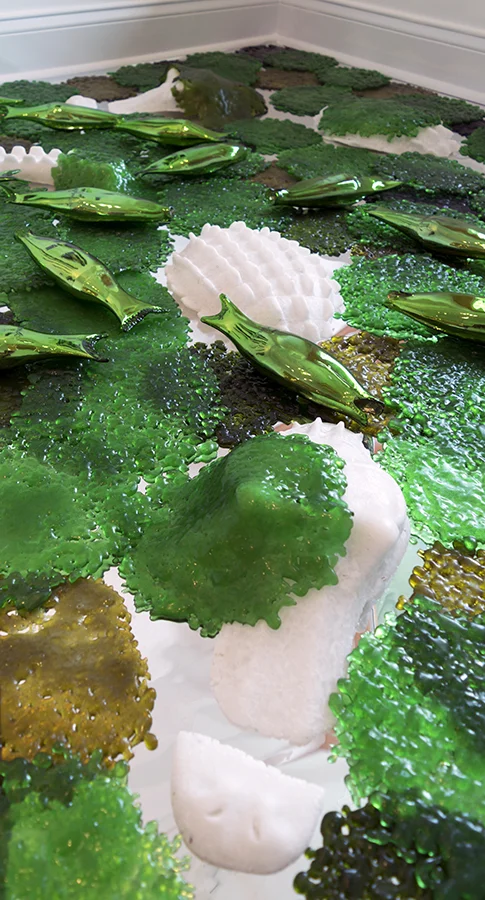 Cyanobacteria.jpg