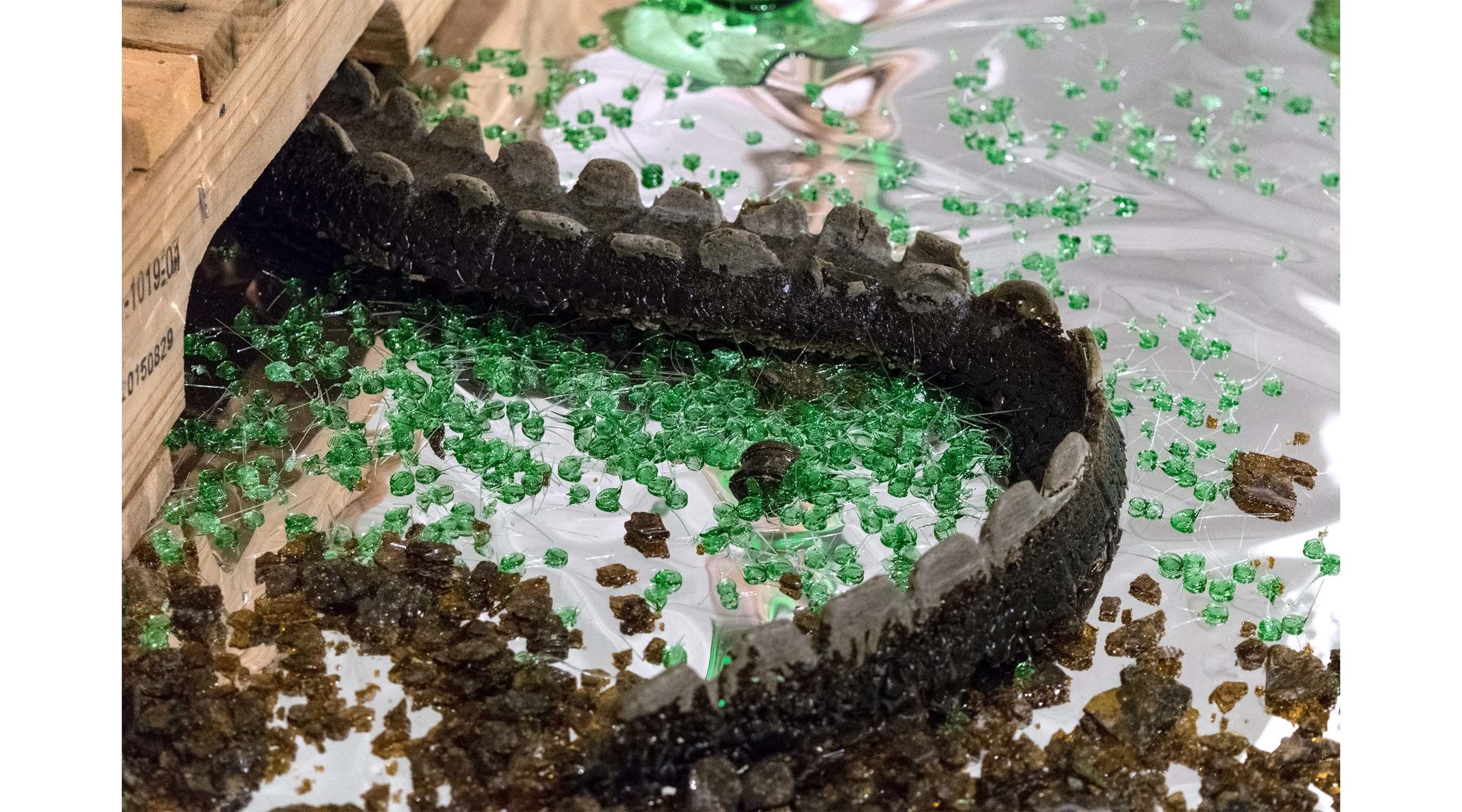 Gator Tail