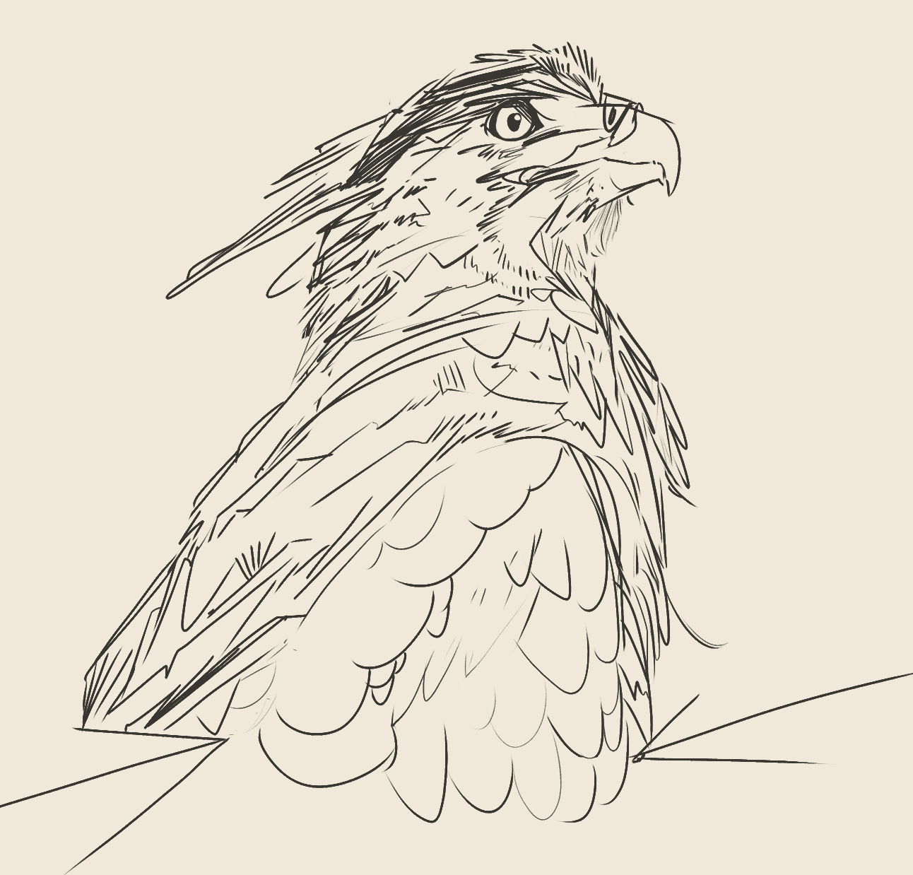 23a.png