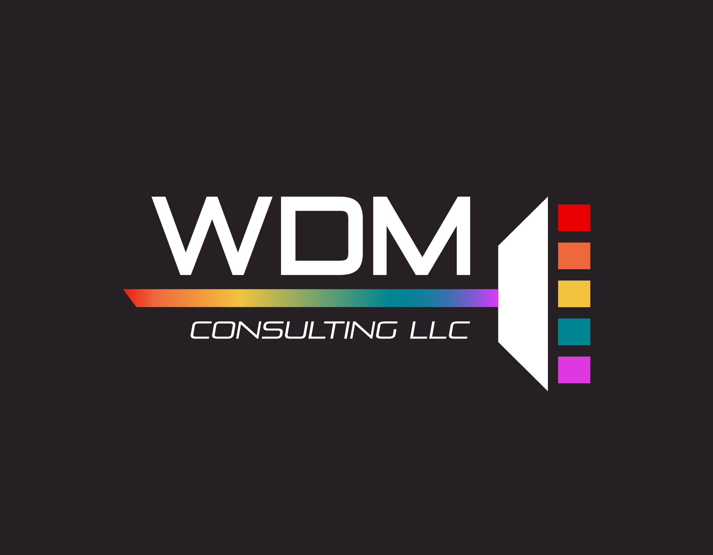 WDMConsulting-03.png