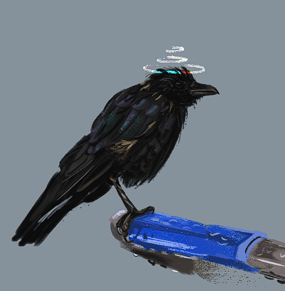 crow.png