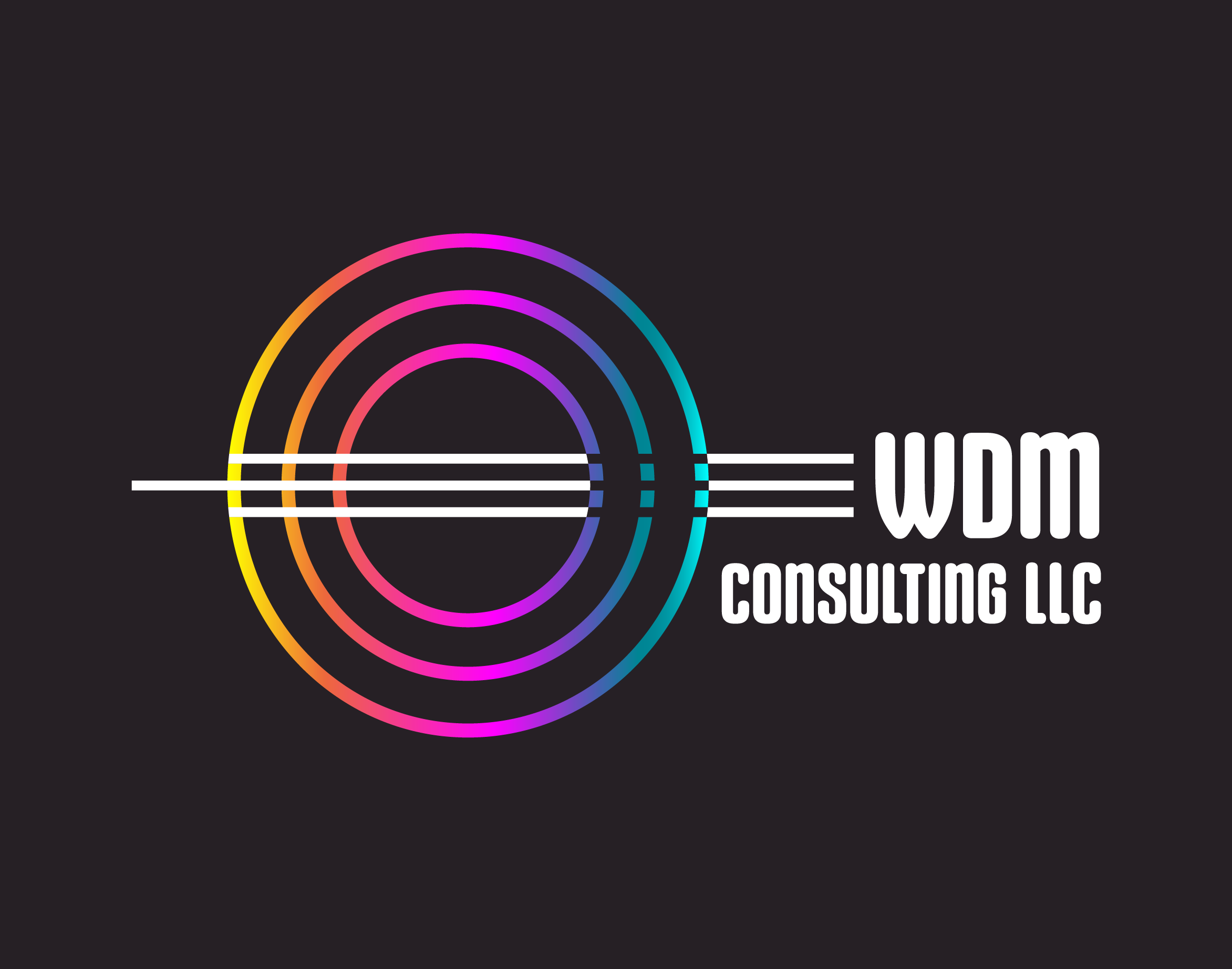 WDMConsulting-05.png