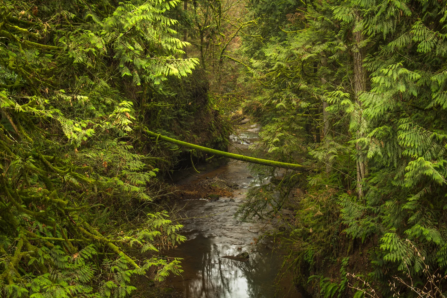 Hidden_Falls 1500px-2.jpg