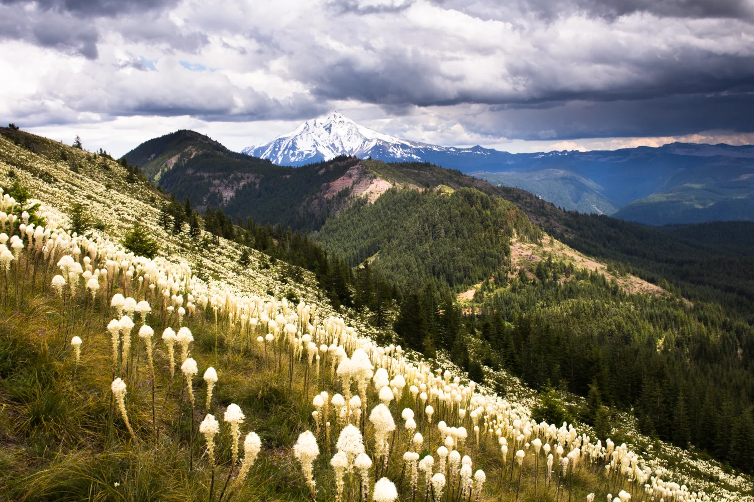 Coffin_mountain 1500px-13.jpg
