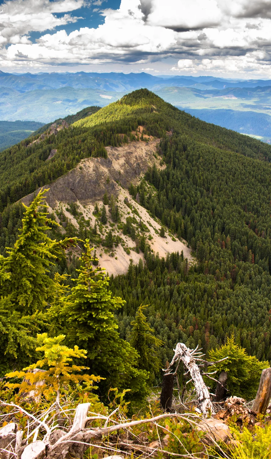 Coffin_mountain 1500px-20.jpg