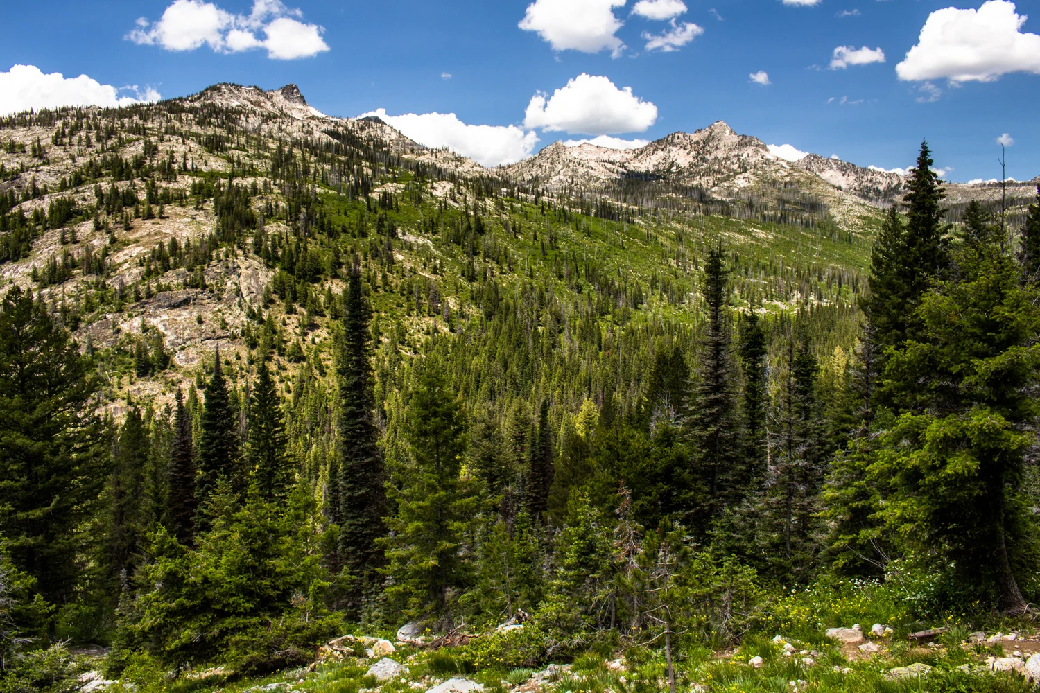 Snowslide Lake 1500px-4.jpg