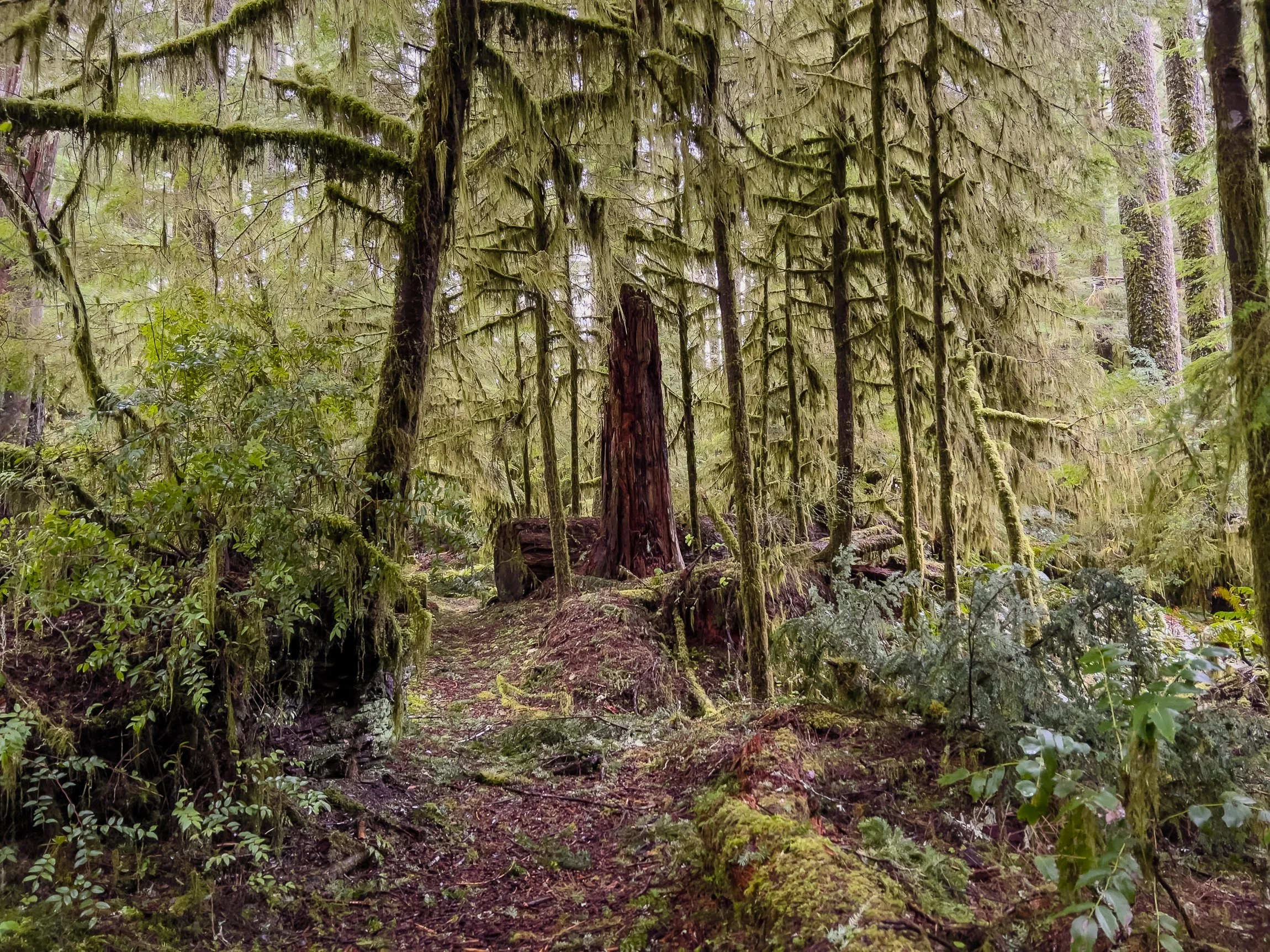 Drift Creek North_Edits_NoWM_Share-68.jpg