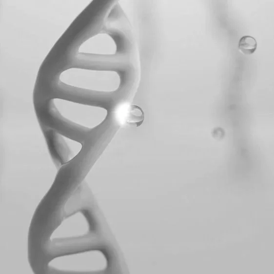 Skinboosters & Polynucleotide Training Course - ABERDEEN - 4/10/26