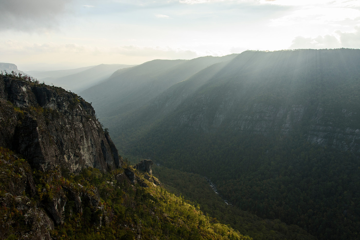 The Linville River sits about 1,400 feet below the ridge, allowing for some dramatic views from the cliffs above.