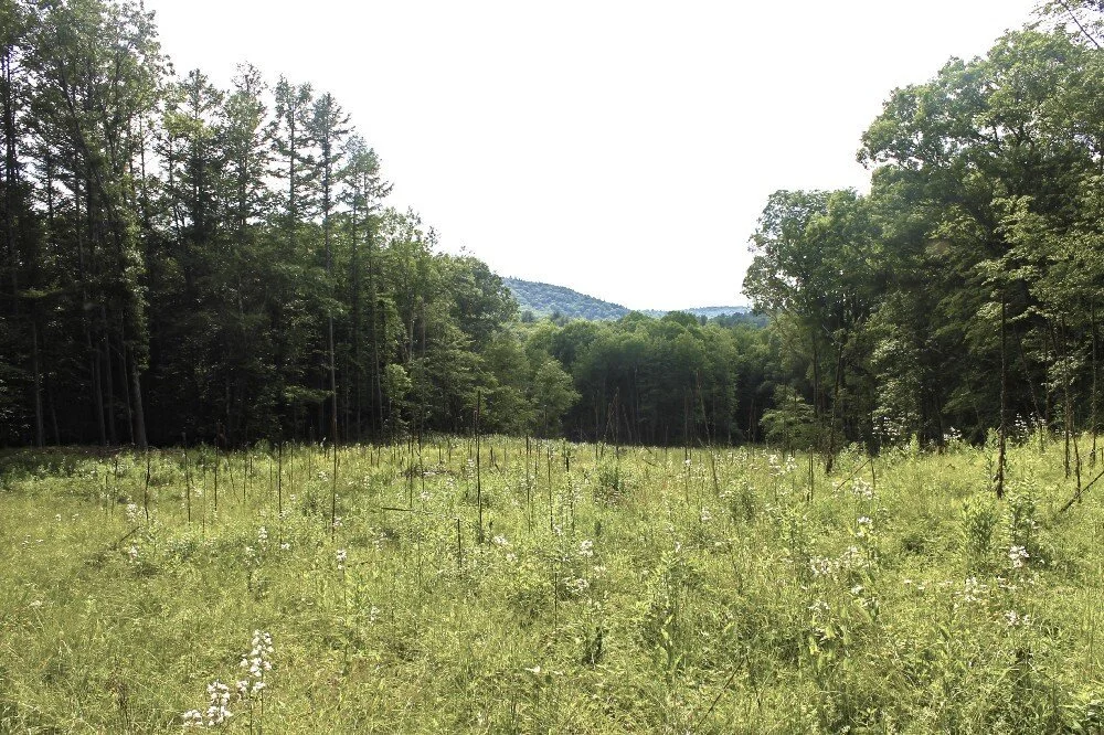 The Climate Action Lab: Introduction 