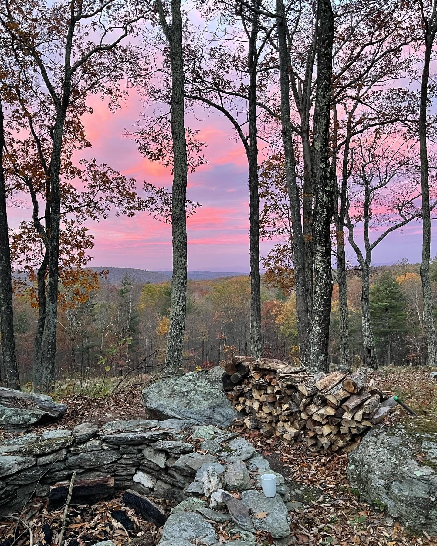 These Saturday morning views could be yours&hellip; 🩷 

📸: @wellness.warrior.yogi 

#FarmStay #HVNY