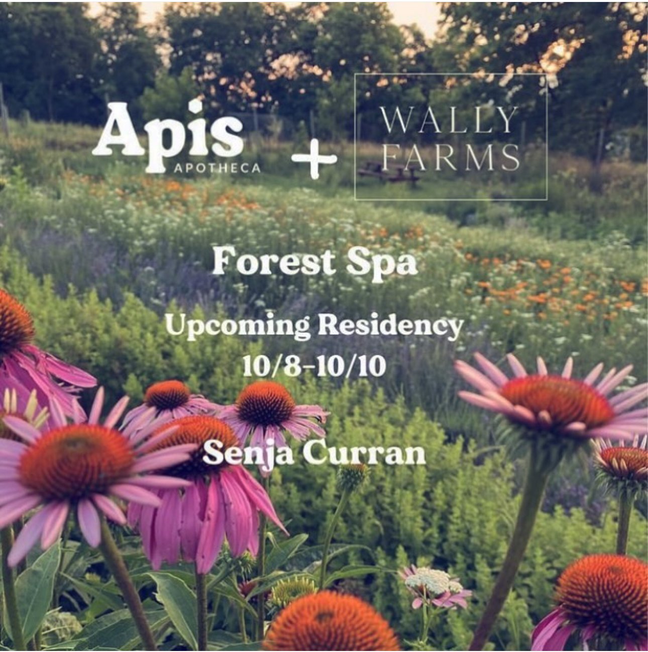 Forest Spa Residency