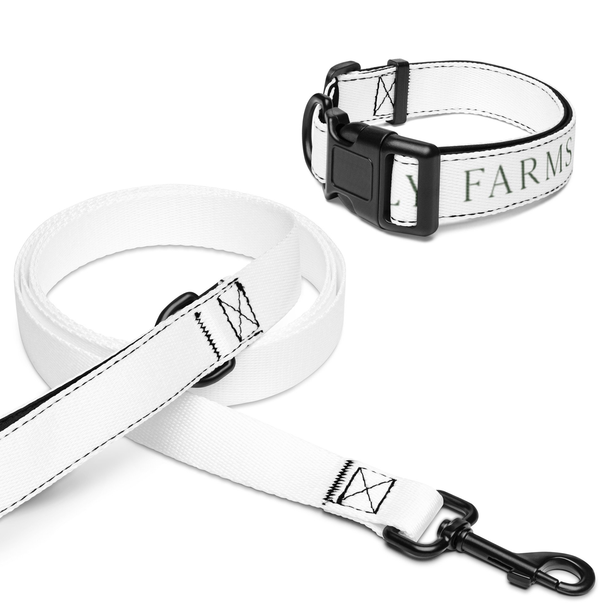 pet-collar--leash-white-m-front-6745fbc0f0b51.jpg