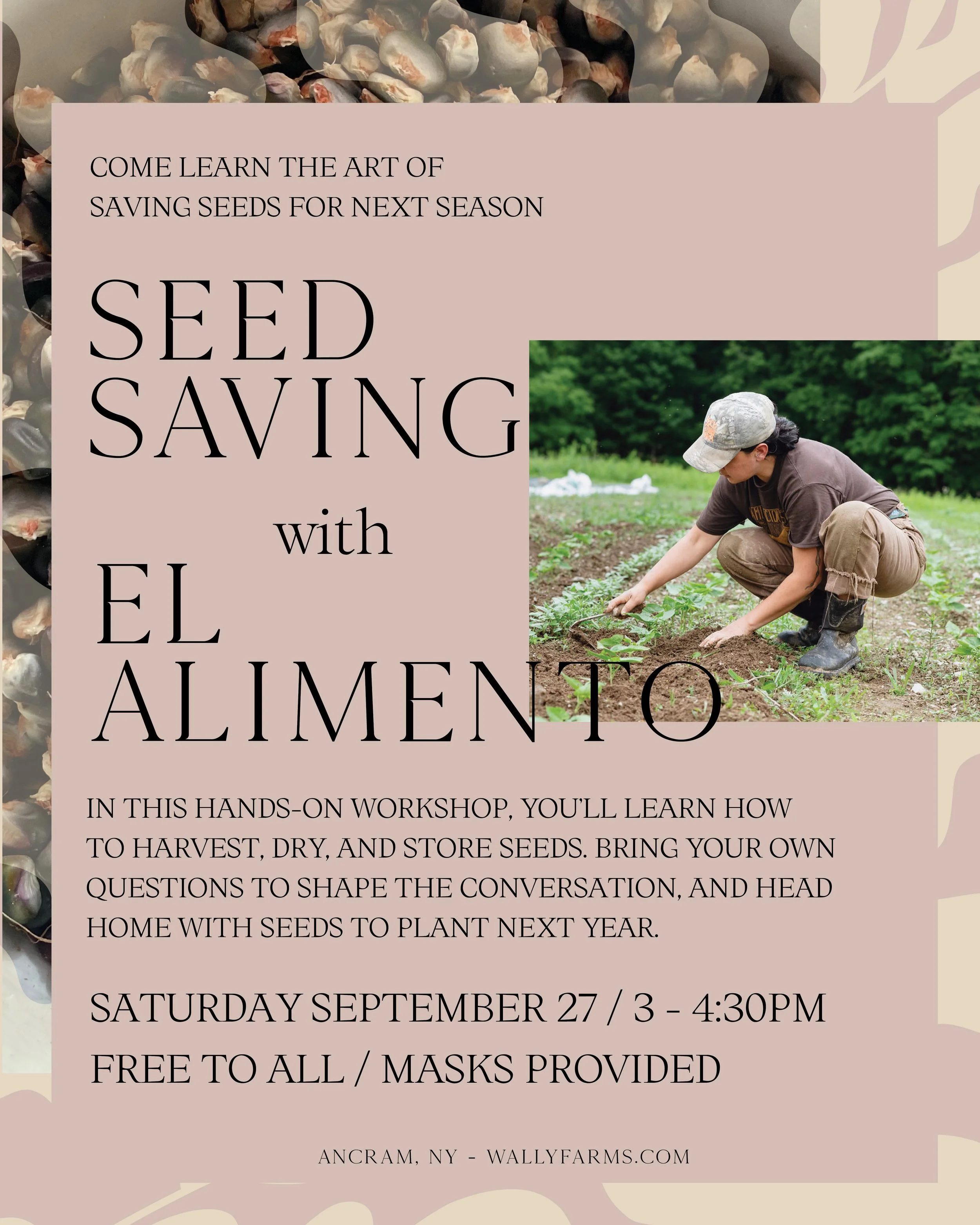 Seed Saving with El Alimento