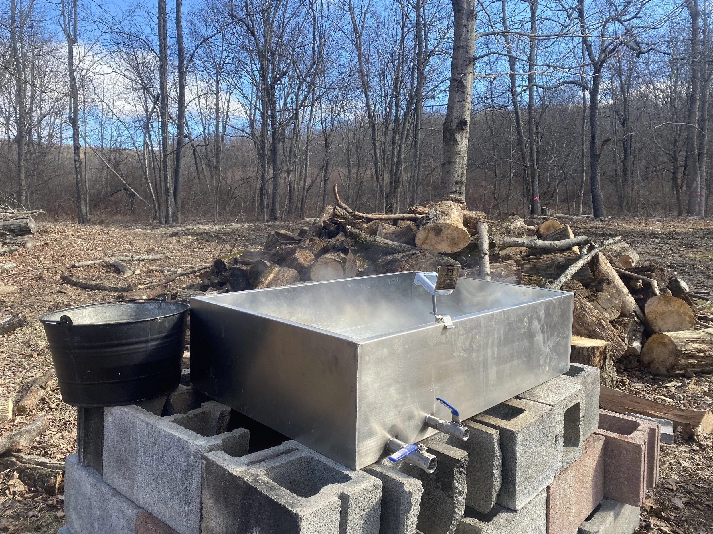 Maple Syrup at Wally Farms!