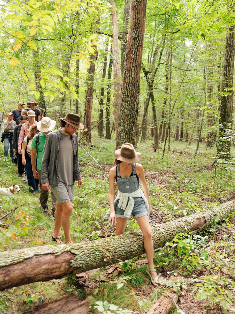 Morel Mushroom Hunt &amp; Plant Sale!