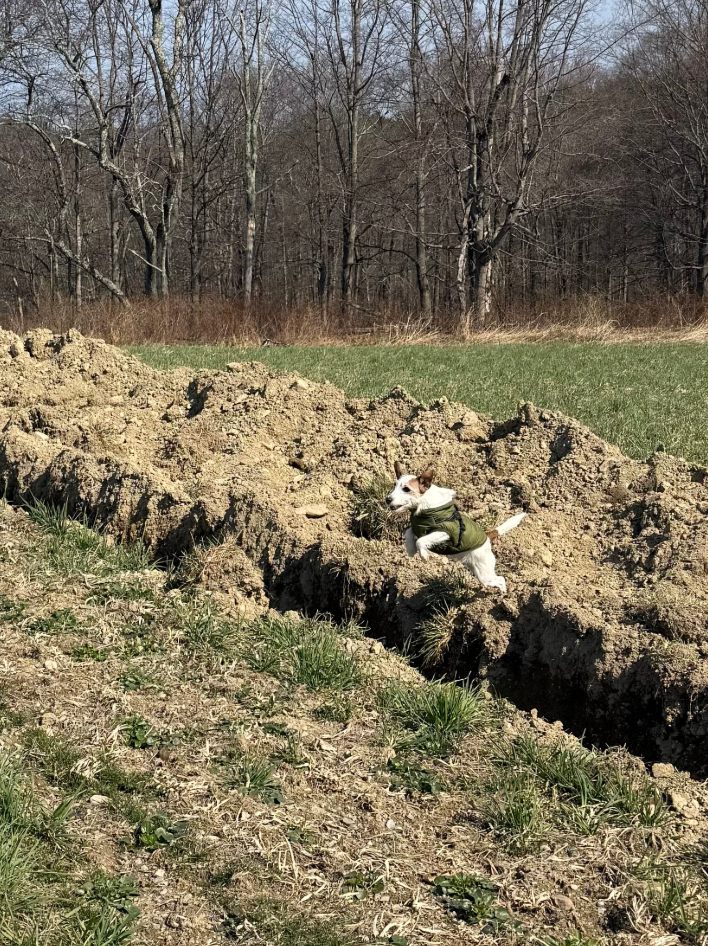 Notes from the farm: Building, digging, and growing before the season starts