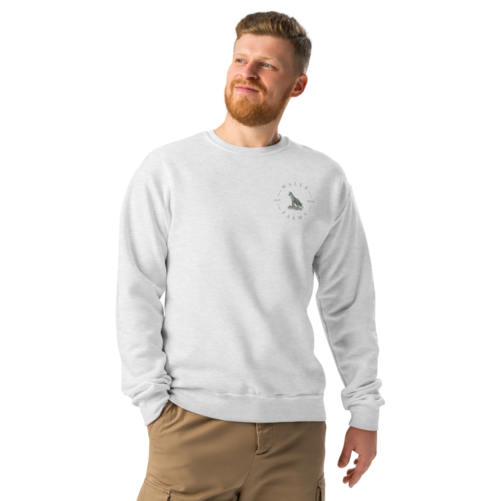 classic-unisex-crew-neck-sweatshirt-ash-front-673d4ef593568.png