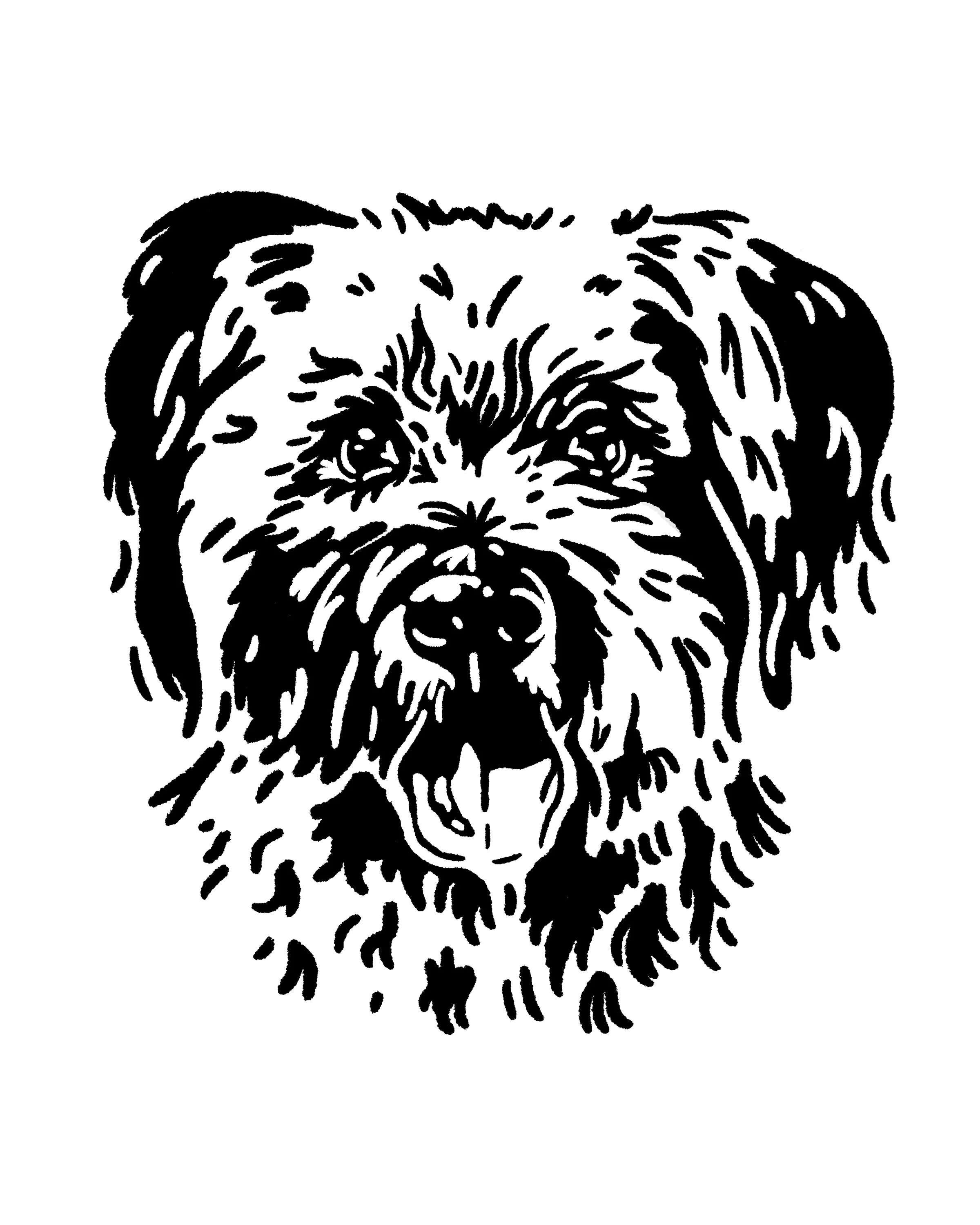 bailey barrett henry.jpg