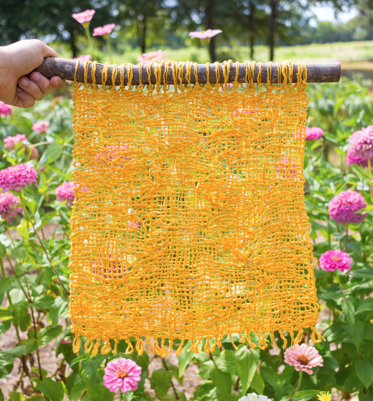 Screen Shot 2020-08-09 at 4.03.06 PM.png