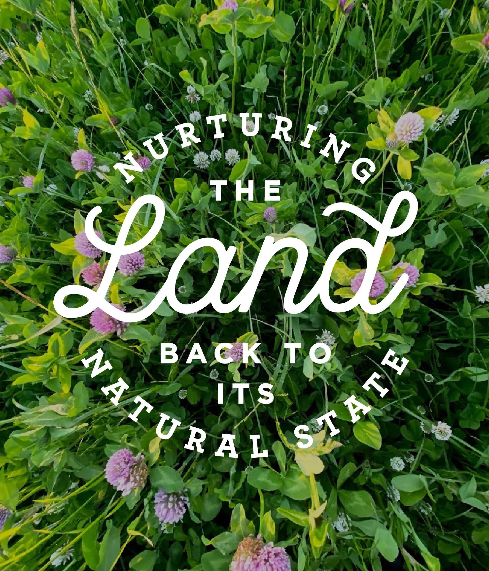 homestead 36 r3-15.jpg