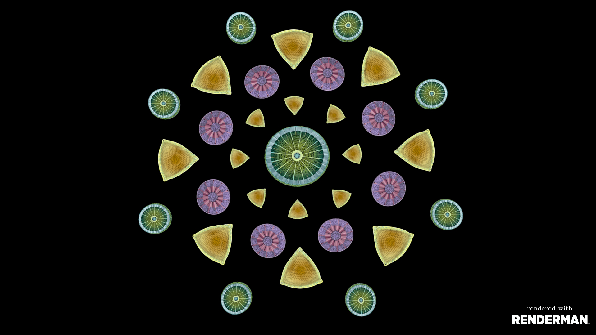 Diatom4.png