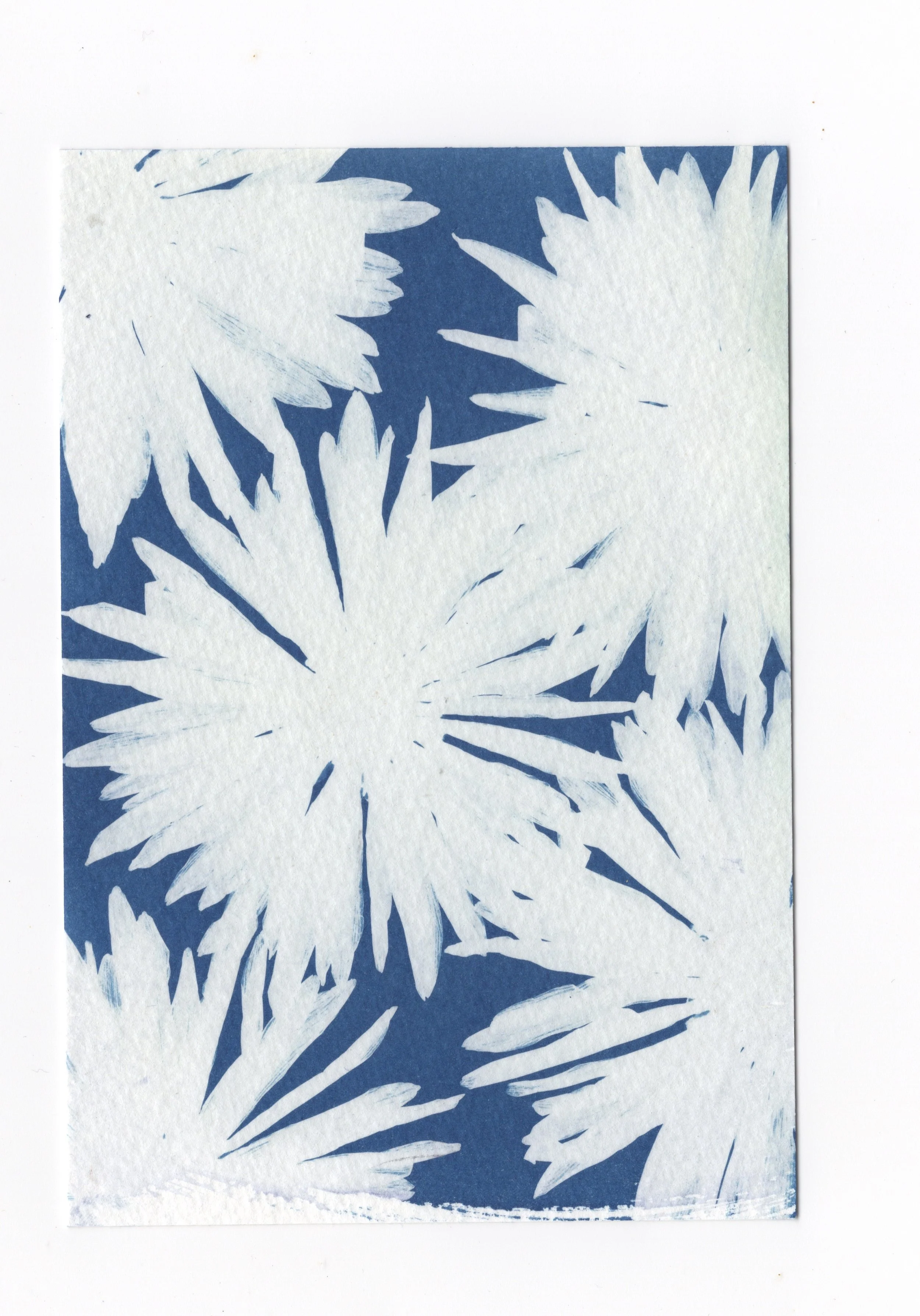 Postcard Cyanotype: Flowers