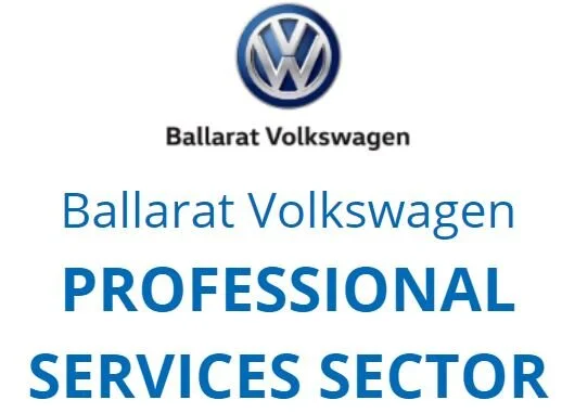 Professional Services Sector.JPG