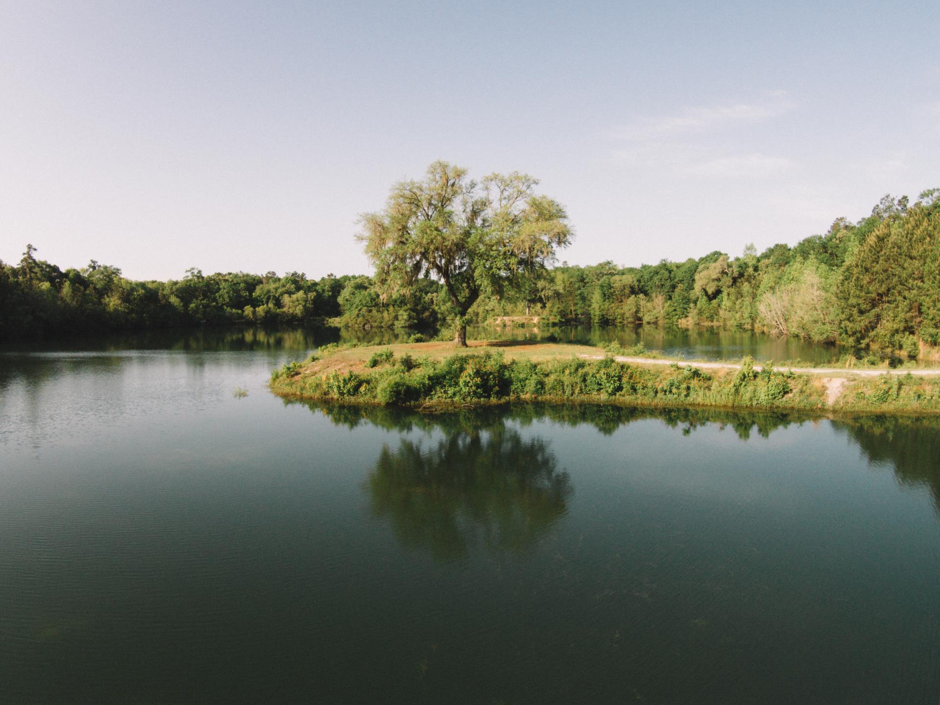 dorchester image.jpg