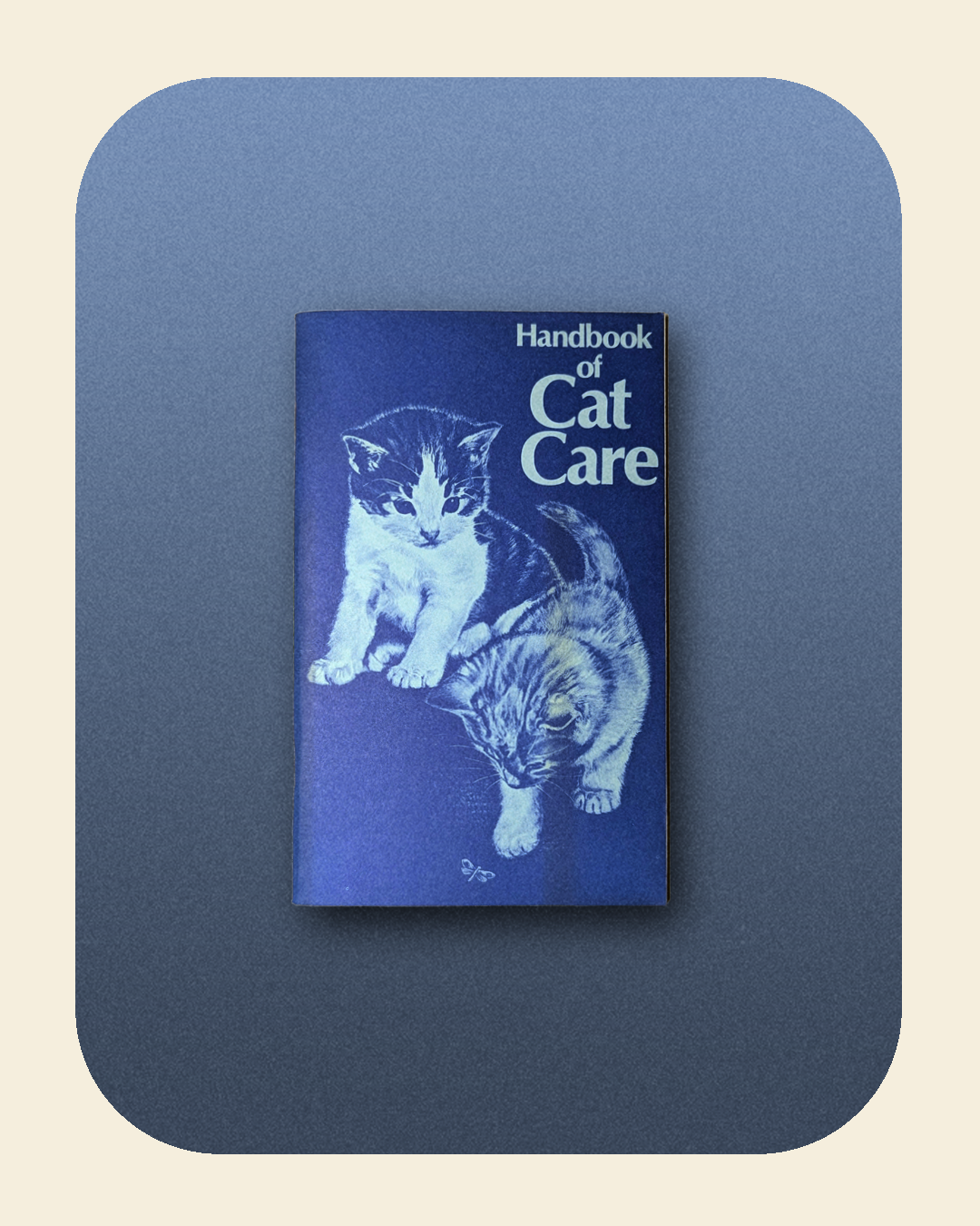 Handbook of Cat Care