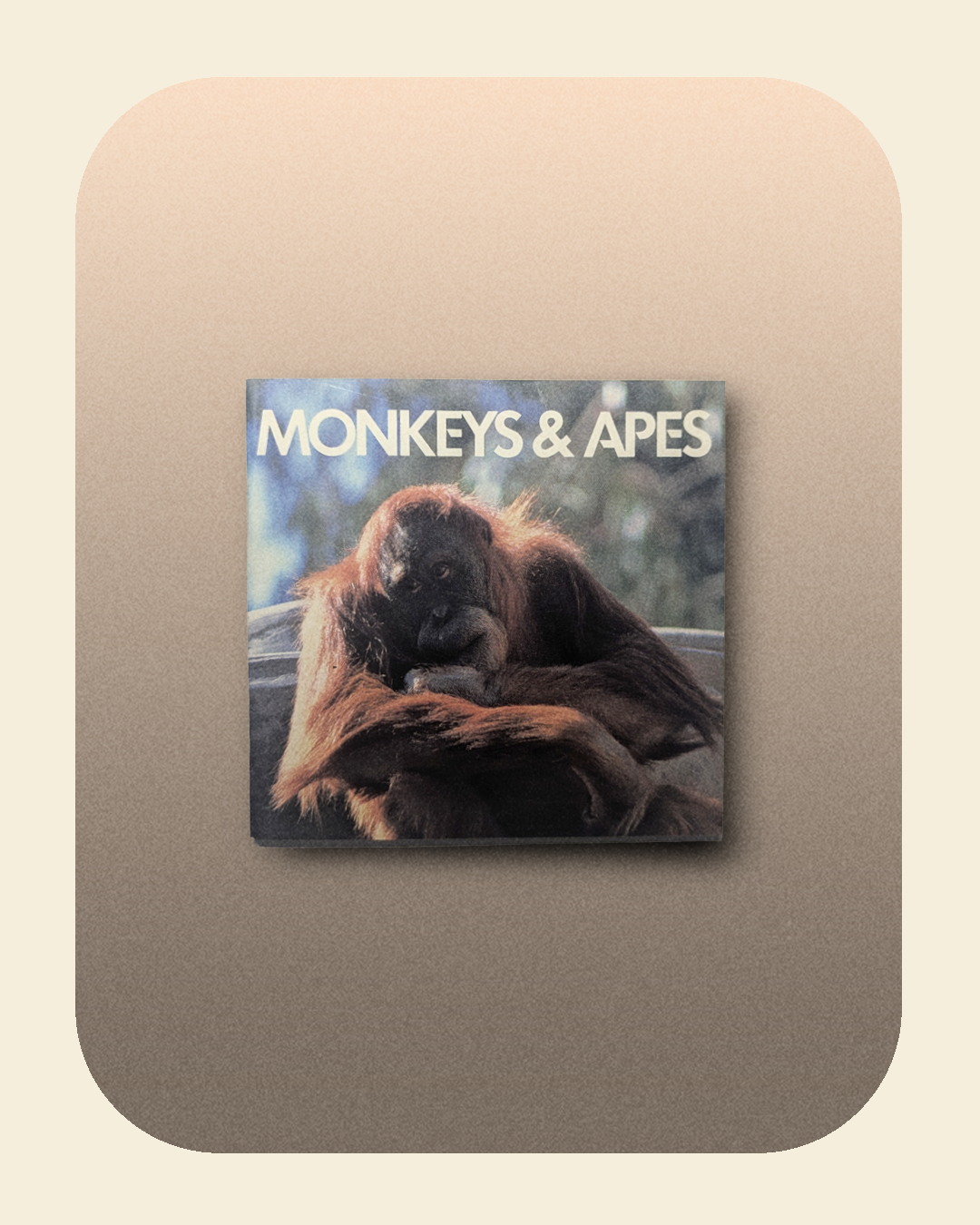 0226-03-049_Monkeys & Apes- An Animal Information Book.png