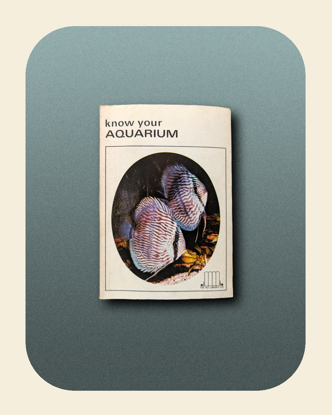 0226-03-047_Know your Acquarium.png