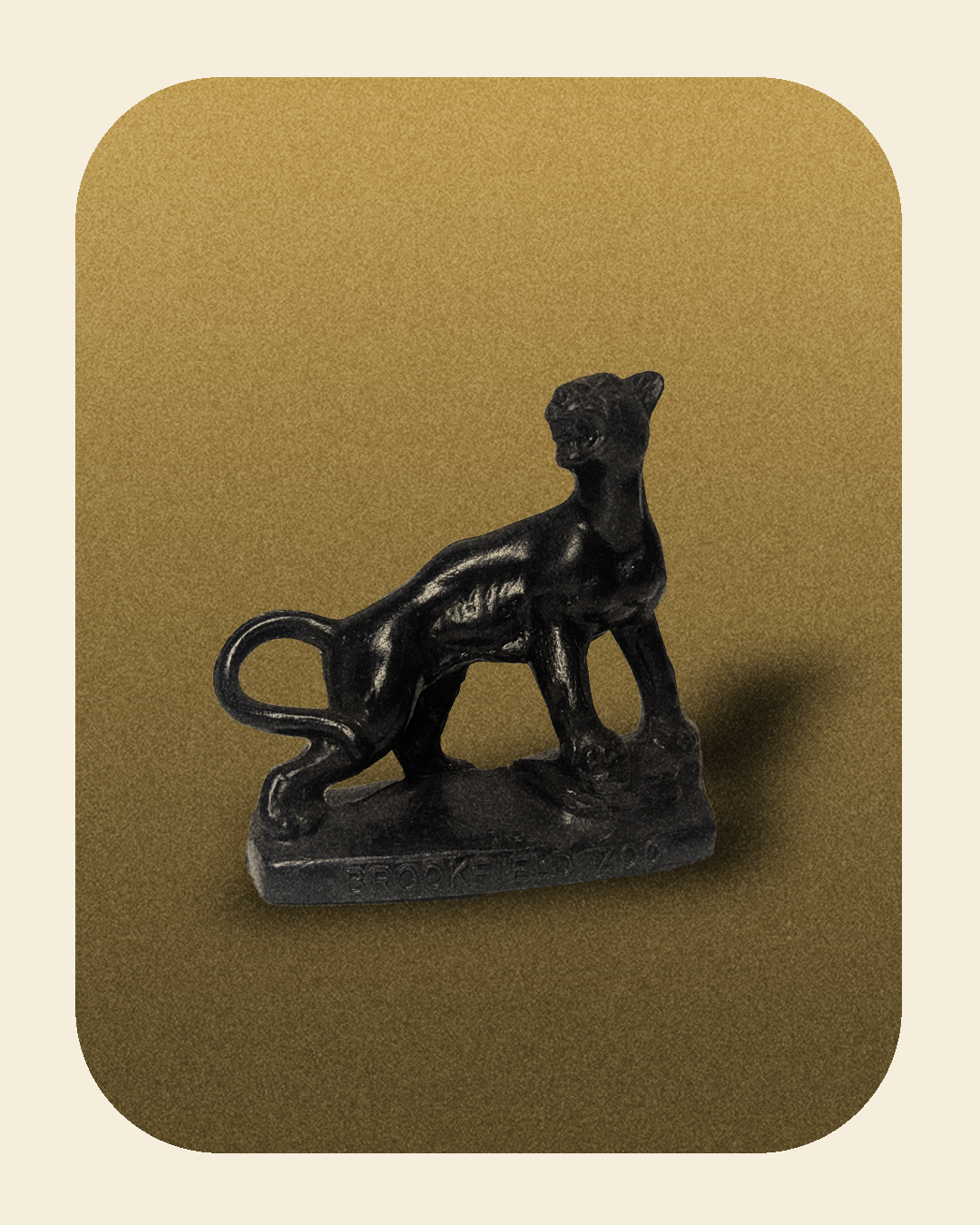 Brookfield Zoo Panther