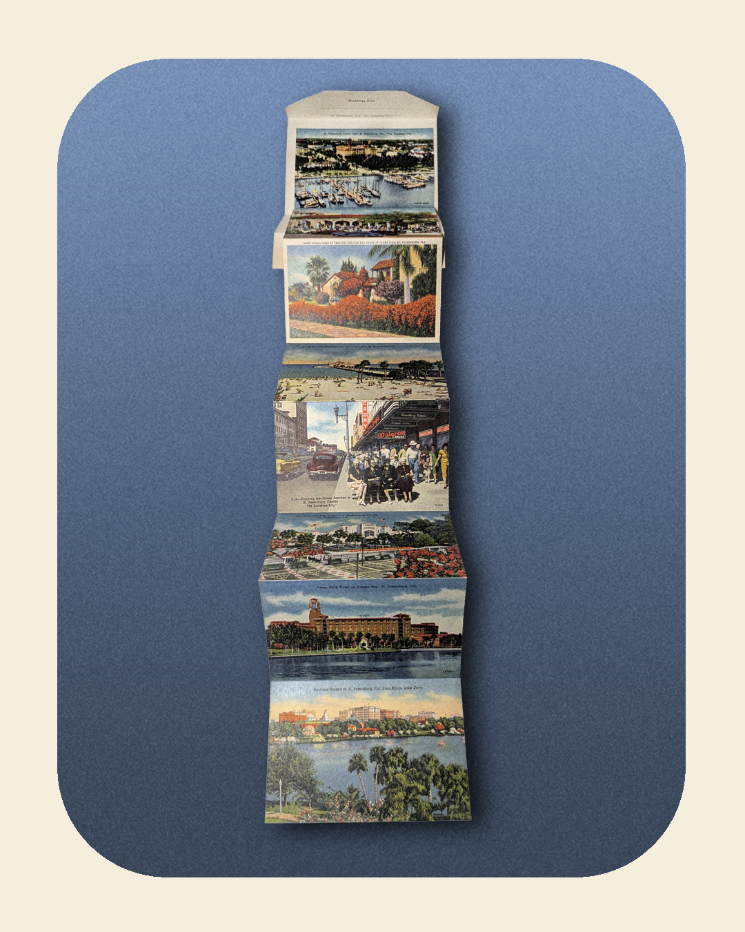 0226-06-003_St Petersburg, FL postcard packet_2.png