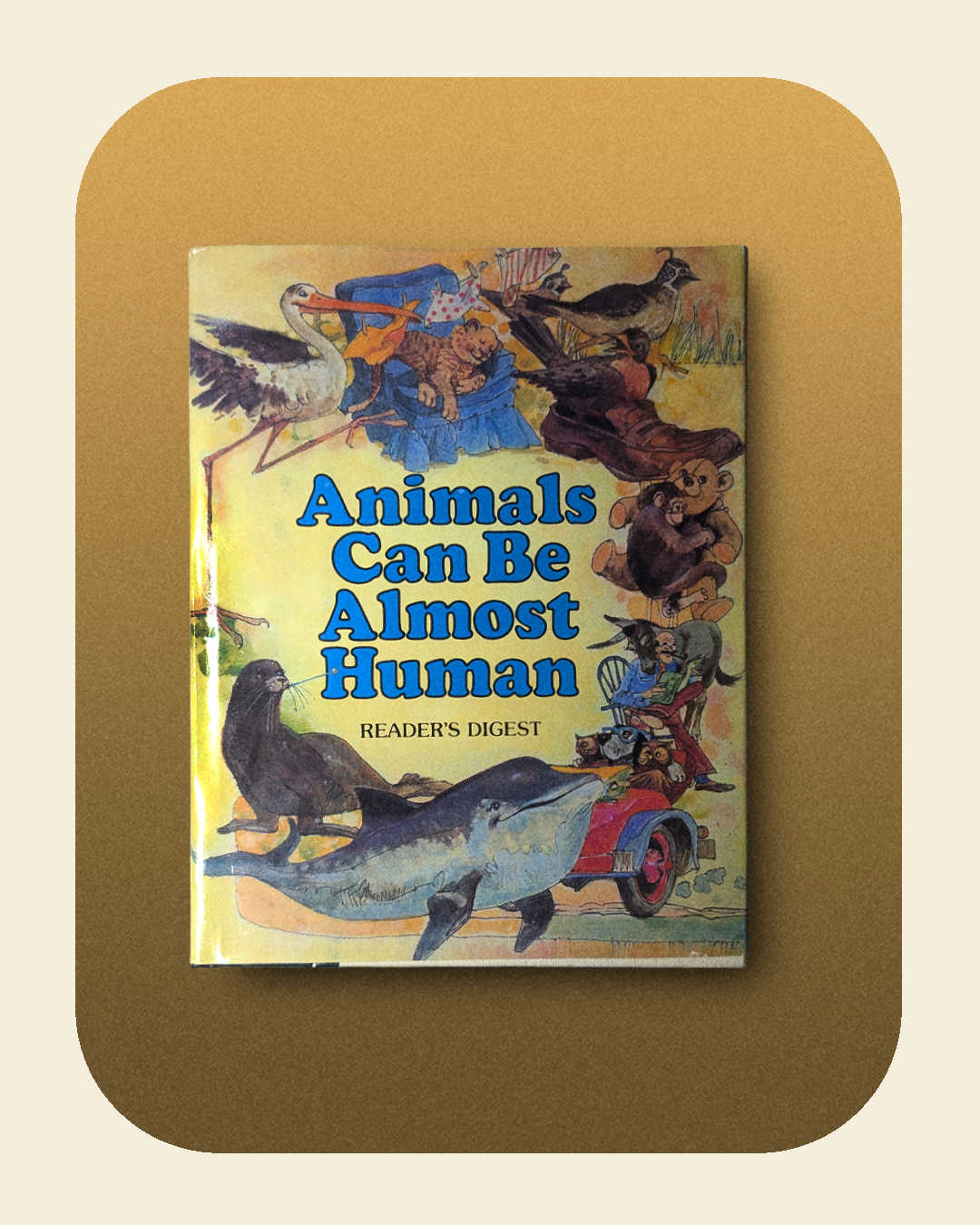 Animals Can Be Almost Human Book