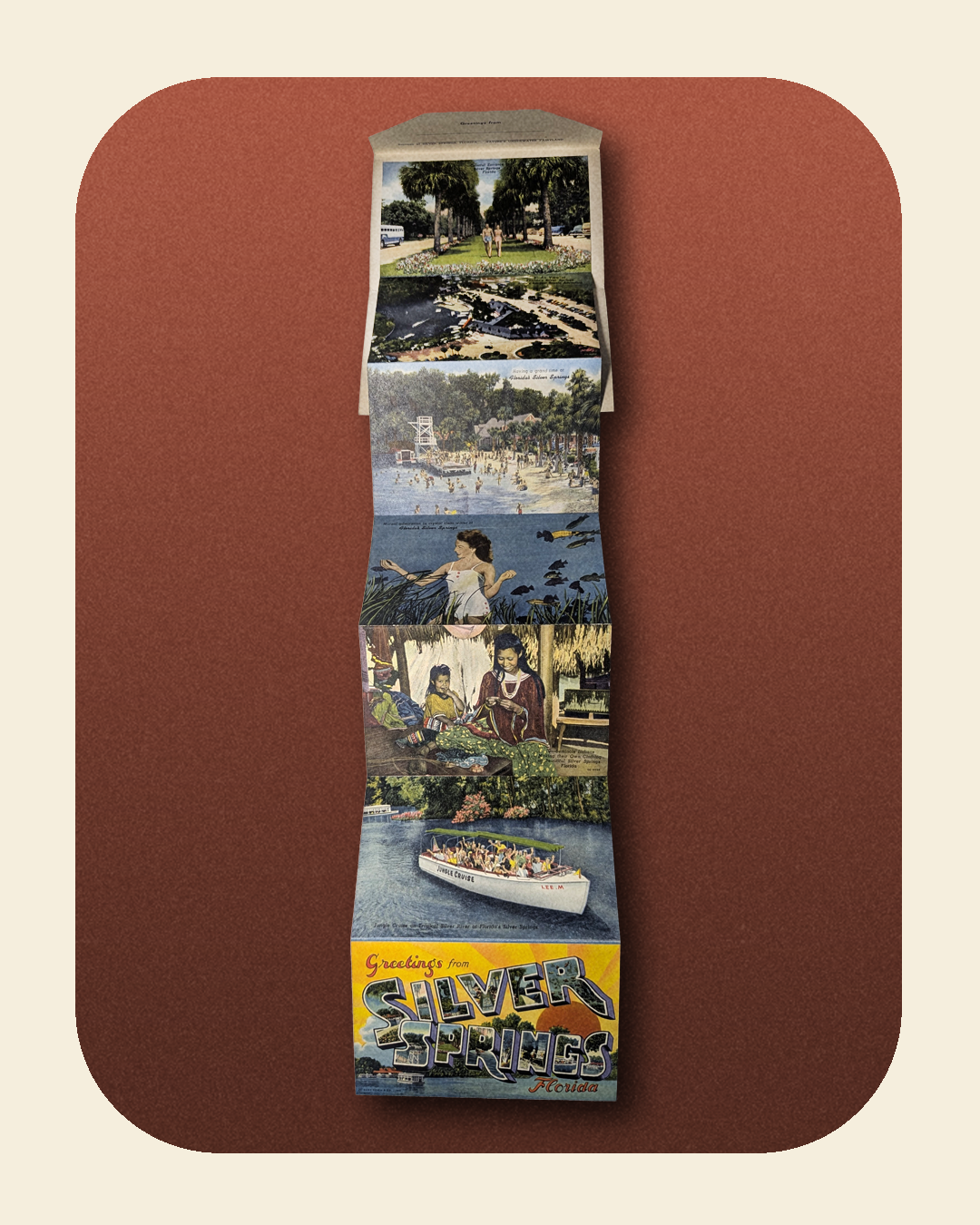 0226-06-005_Silver Springs- Florida's International Attraction_2.png