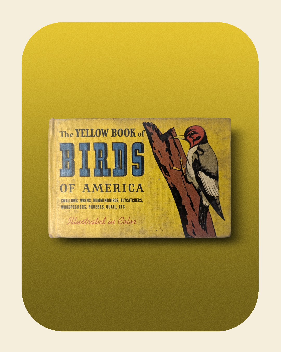 The Yellow Book of Birds of America