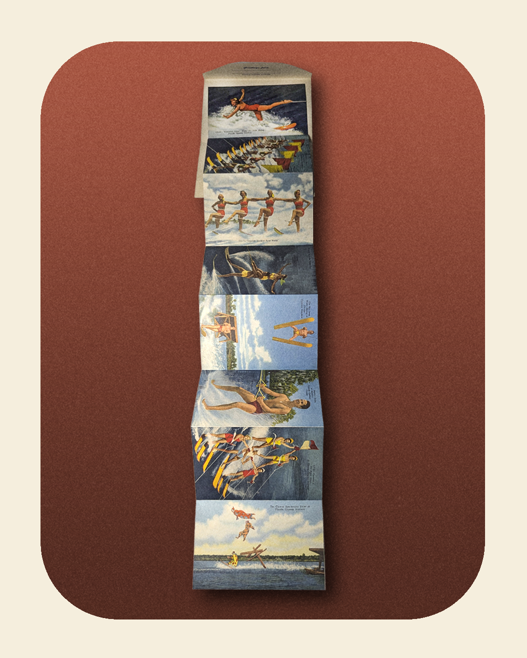 0226-06-006_Beautiful Cyprus Gardens postcard packet_2.png