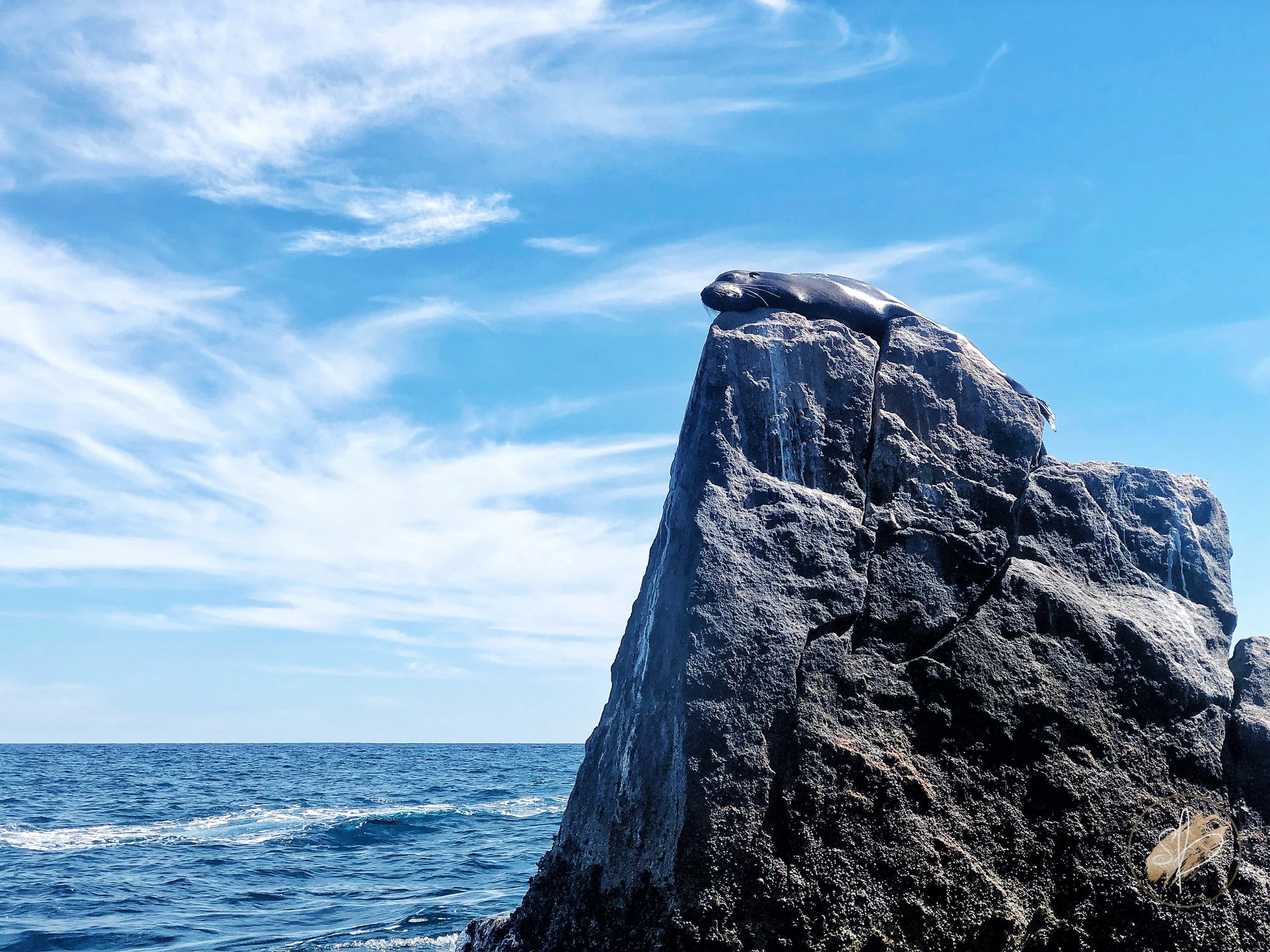 Cabo-4.jpg