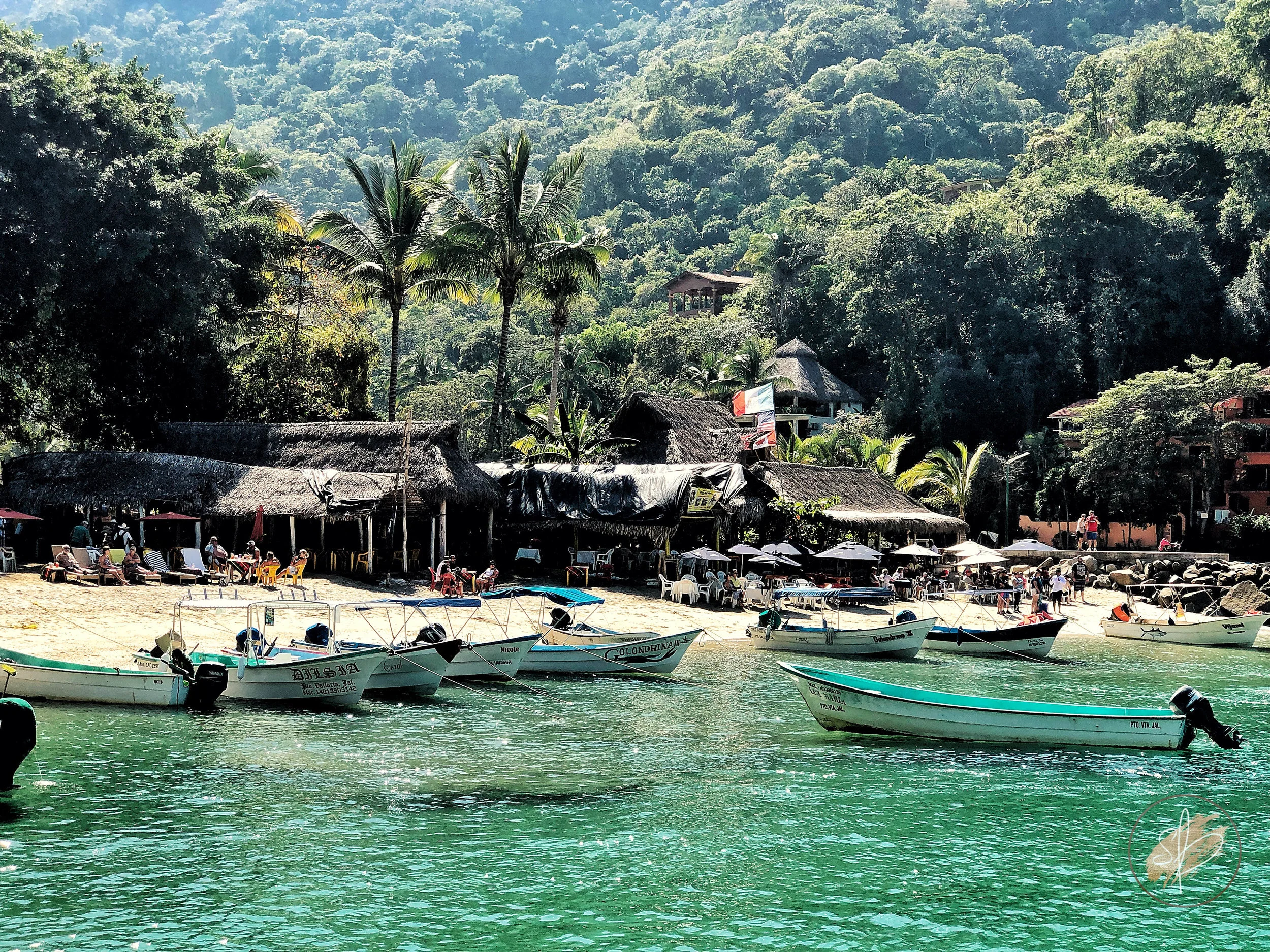 Puerto Vallarta-2.jpg