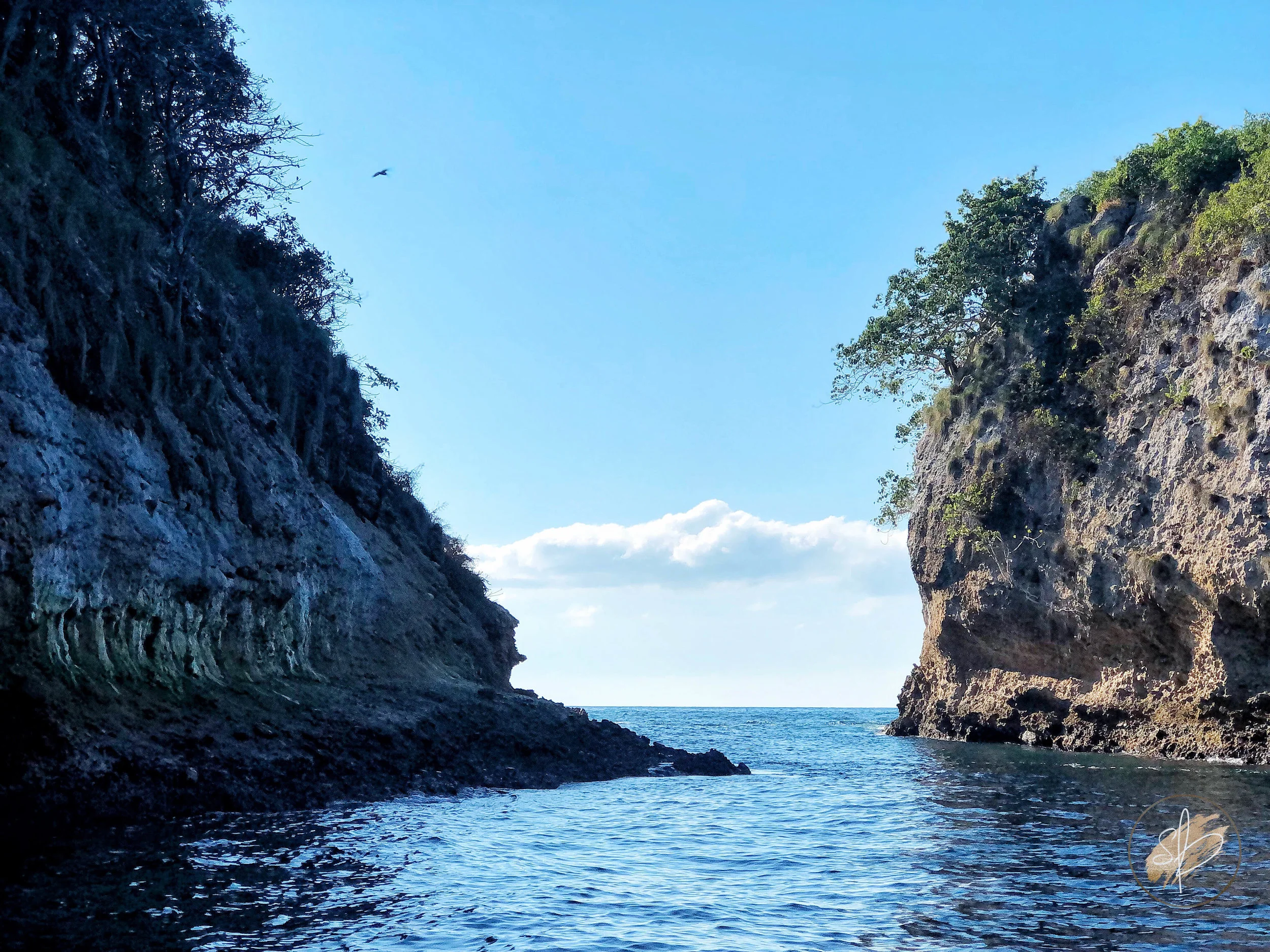 Puerto Vallarta-23.jpg