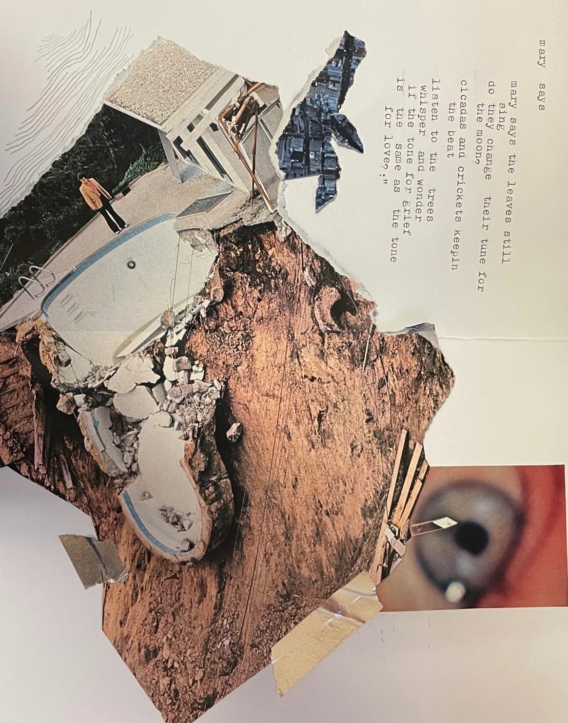 Baron Von Elsa Poems and Songs