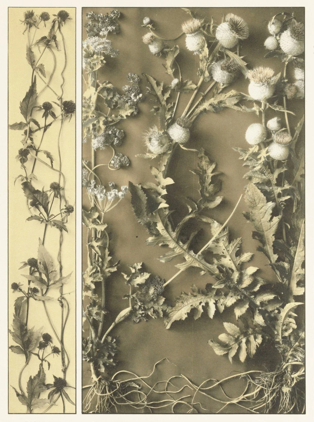 Experimental, quirky and independent, zines provide creative space for CT artists