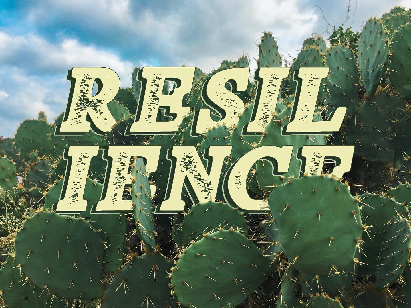 RESILIENCE!🌵✊🏽✊🏾✊🏿
We are strong and together we can overcome any obstacle that is placed in our path!! 
.
.
.
.
.
.
.
.
.
.
#art #artist #graphic #graphicdesign #graphicdesigner #digital #digitalillustration #digitalart #chicanx #latinx #chicana