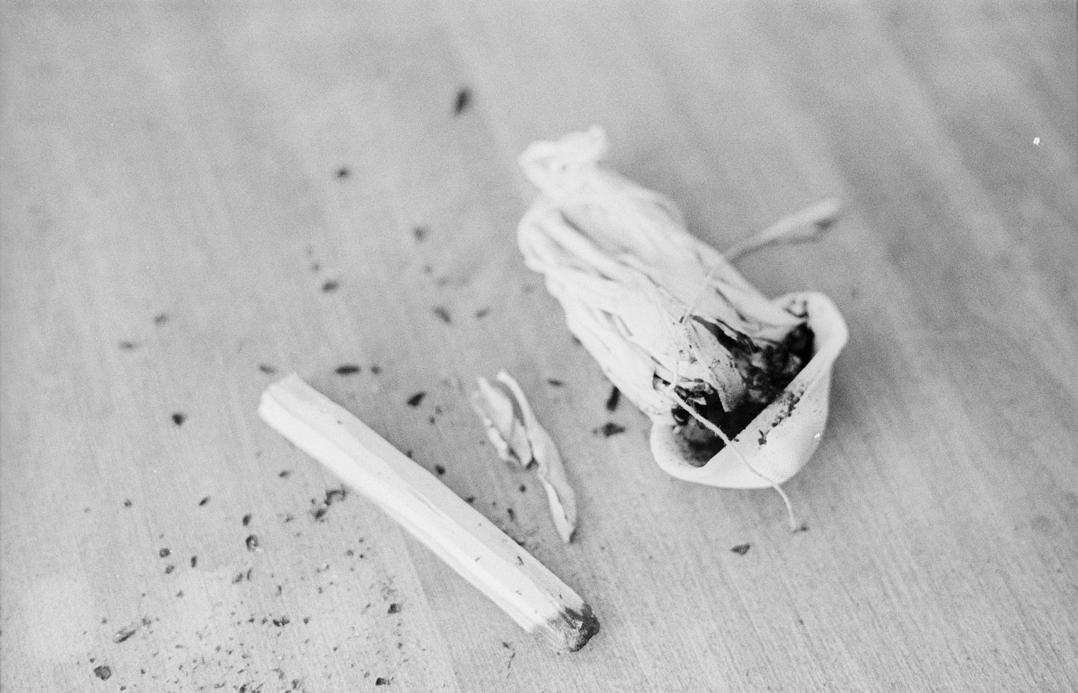 Burnt Sage and Palo Santo